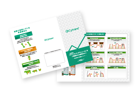 リーフレット　サンプル